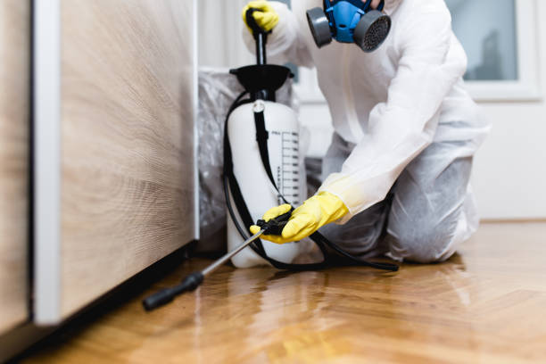 Best Residential Pest Control  in Monticello, AR