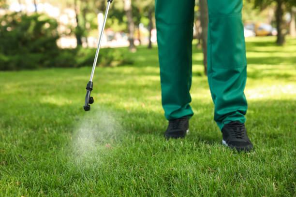 Best Pest Control Near Me  in Monticello, AR