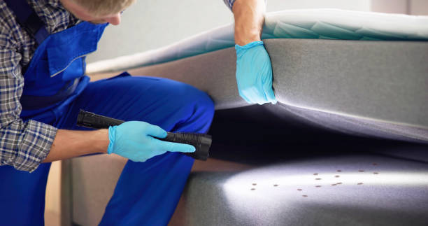 Best Pest Inspection Near Me  in Monticello, AR