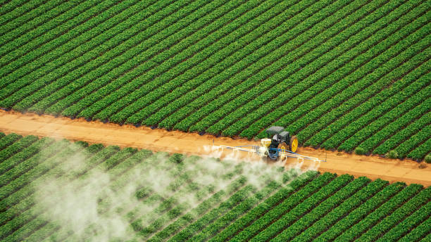 Best Local Pest Control Services  in Monticello, AR