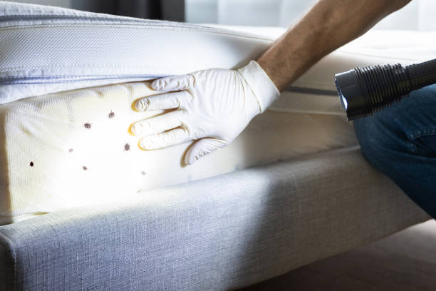 Trusted Monticello, AR Pest Control Experts