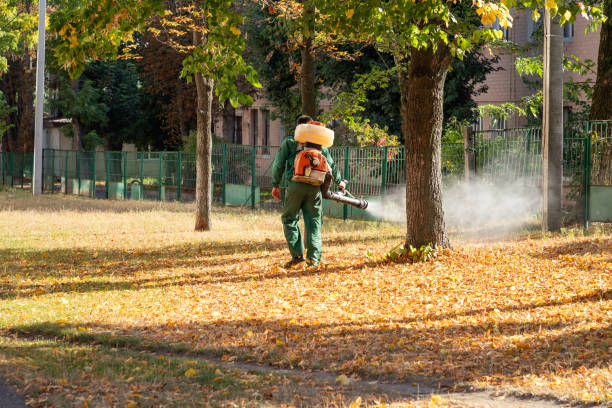 Best Best Pest Control Companies  in Monticello, AR
