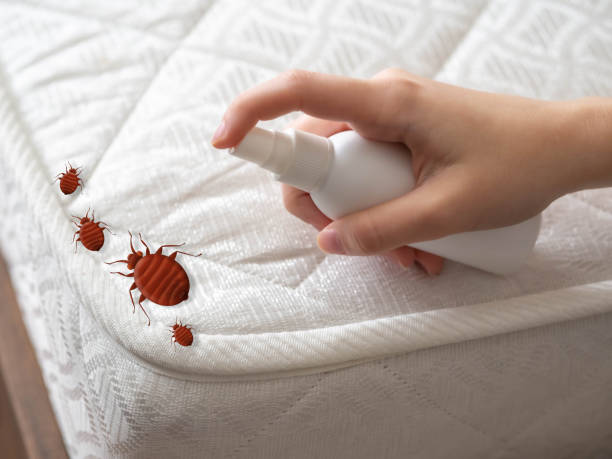 Best Flea Control Services  in Monticello, AR