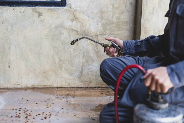 Best Pest Prevention Services  in Monticello, AR